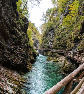 BLED, SLOVENIA - OCT 10, 2022 - Slovenya Vintgar vadisinden akan vahşi nehir manzarası