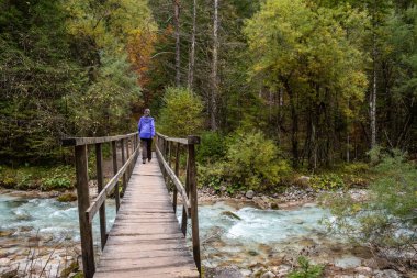 Slovenya 'daki Triglav Ulusal Parkı' ndaki Bistrice Vadisi 'nde bir yerde ormandaki tahta bir yaya köprüsünü geçiyoruz.