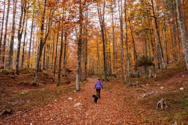 Slovenya 'nın Julian Alpleri' ndeki Triglav Ulusal Parkı 'nda sonbaharda Vrata Vadisi' nde yürüyüş yaparken