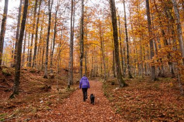 Slovenya 'nın Julian Alpleri' ndeki Triglav Ulusal Parkı 'nda sonbaharda Vrata Vadisi' nde yürüyüş yaparken