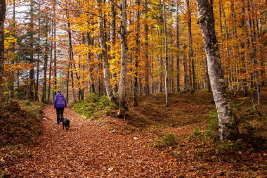 Slovenya 'nın Julian Alpleri' ndeki Triglav Ulusal Parkı 'nda sonbaharda Vrata Vadisi' nde yürüyüş yaparken