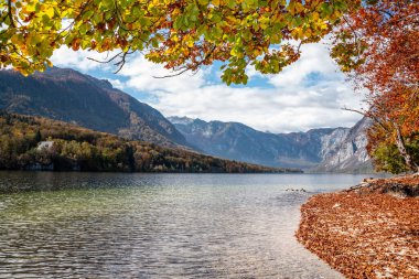 Bohinj Gölü kıyısında sonbahar Triglav Ulusal Parkı 'nda, The Julian Alps, Slovenya