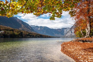 Bohinj Gölü kıyısında sonbahar Triglav Ulusal Parkı 'nda, The Julian Alps, Slovenya