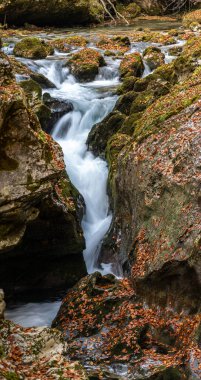 Slovenya 'daki Julian Alplerinde yer alan Triglav Ulusal Parkı' ndaki güzel Mostnica Vadisi 'nden akan bir dere.