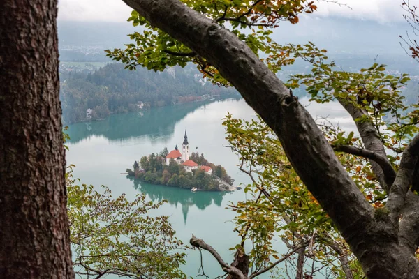 ブレッド湖とその巡礼教会と島の平和的な景色メアリー スロベニアアルプスの仮定 — ストック写真