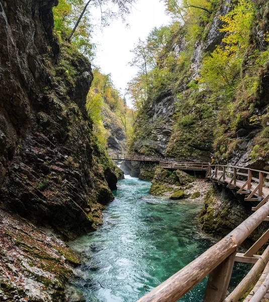 Bled Slovenia Oct 2022 Scenic Wild River Flowing Vintgar Gorge — Stock Photo, Image