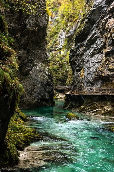Scenic Liar Sungai Mengalir Melalui Jurang Vintgar Slovenia — Stok Foto