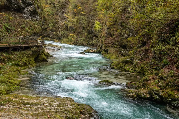 Scenic Wild River Flowing Vintgar Gorge Slovenia — Stock Photo, Image