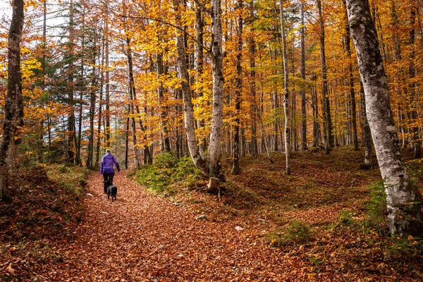 Caminhadas Pelo Vale Vrata Outono Parque Nacional Triglav Nos Alpes — Fotografia de Stock