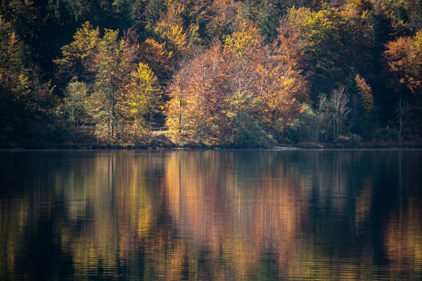 Réflexions Arbres Panoramiques Sur Côte Lac Bohinj Dans Parc National — Photo
