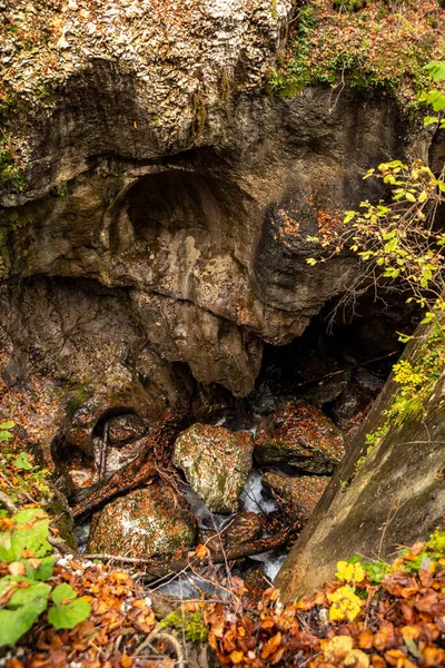 Patak Folyik Keresztül Gyönyörű Mostnica Szurdok Triglav Nemzeti Park Található — Stock Fotó