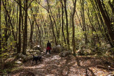 Soca Vadisi 'ndeki Boka şelalesinin yanında, Slovenya' daki Julian Alpleri arasında küçük ağaçlar ve kayalar olan genç bir orman.