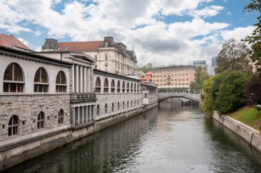 Slovenya 'nın Ljubljana kentindeki Merkez Pazarı' nın tarihi binası