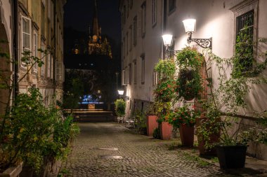 Ljubljana 'daki manzara küçük Krizevniska sokağı geceleri aydınlatılıyor, yan taraflarında bitkiler, Slovenya