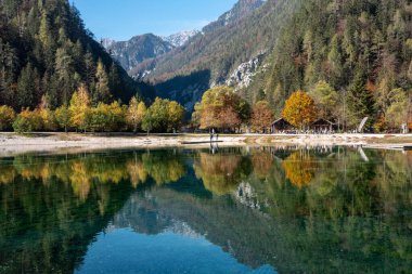 Slovenya 'nın Julian Alplerindeki Kristal Gölü' nde Manzaralı sonbahar ormanı