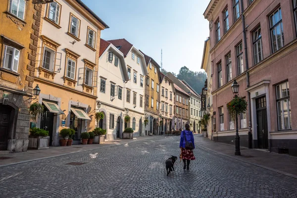 スロベニアのダウンタウンリュブリャナの通りGornji Trg — ストック写真