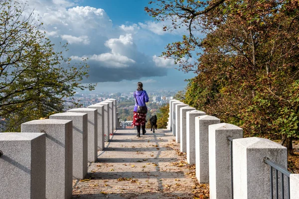 スロベニアの首都リュブリャナの城公園で犬と一緒に歩く女性 — ストック写真