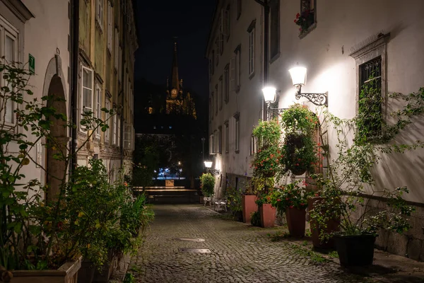 Scenic Pouco Krizevniska Beco Liubliana Iluminado Noite Arranjado Com Plantas — Fotografia de Stock