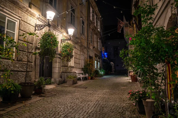 斯洛文尼亚卢布尔雅那风景如画的克里热夫尼斯卡小巷 夜晚灯火通明 两侧种满了植物 — 图库照片