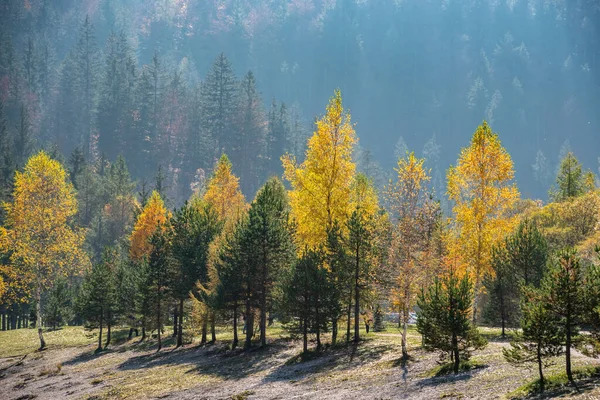 stock image Scenic autumn forest at Crystal Lake in the Julian Alps, Slovenia