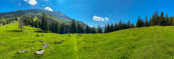 Beautiful alpine panoramic landscape in the Bavarian alps, Germany