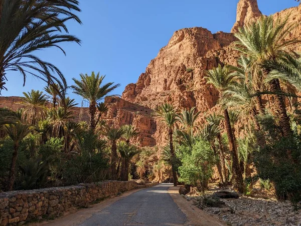 モロッコの反アトラス山脈の景観オアシスアイトマンツール — ストック写真