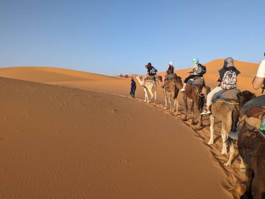 Akşamları Sahra Çölü 'nden geçen bir araba kervanı, Fas' tan Erg Chebbi.