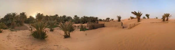 Сад Ігран Поблизу Мерзуги Сільськогосподарський Оазис Повільно Підірваний Пустельним Піском — стокове фото