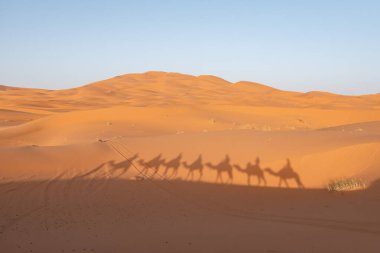 Akşamları Sahra Çölü 'nden geçen bir araba kervanı, Fas' tan Erg Chebbi.