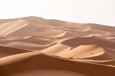 Afrika Sahrası 'nın bir parçası olan Erg Chebbi Çölü' ndeki resim kumulları.