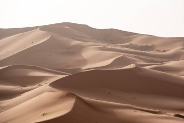 Afrika Sahrası 'nın bir parçası olan Erg Chebbi Çölü' ndeki resim kumulları.