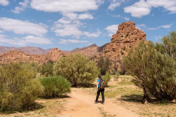 stock image Hiking through the scenic Tafraoute valley in the Anti-Atlas mountains in Morocco