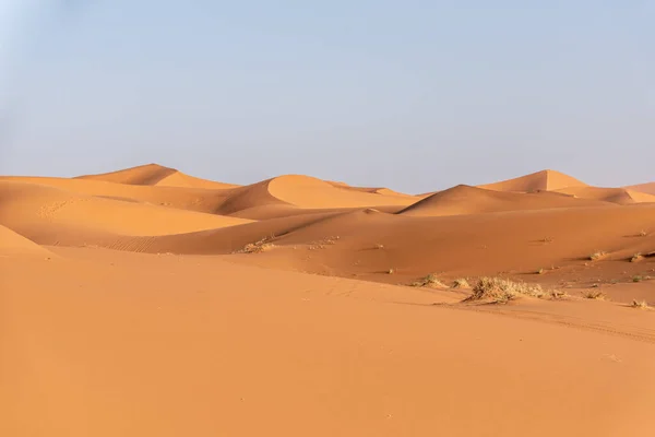 Schilderachtige Duinen Erg Chebbi Woestijn Vroege Avond Een Deel Van — Stockfoto