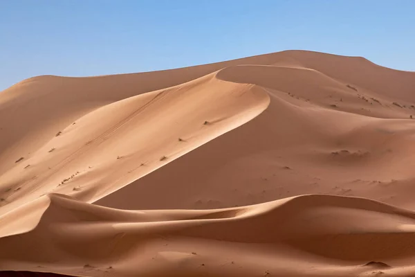 アフリカのサハラの一部 モロッコのヒューマン チビ砂漠の写真の砂丘 — ストック写真