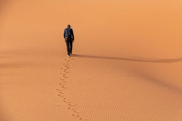 Людина Йде Через Пустелю Ерг Чеббі Африканській Сахарі Марокко — стокове фото
