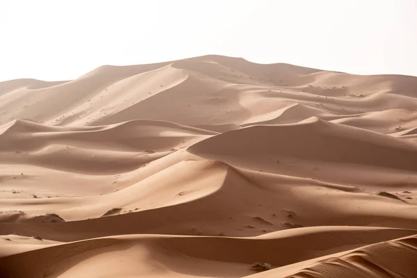 アフリカのサハラの一部 モロッコのヒューマン チビ砂漠の写真の砂丘 ロイヤリティフリーのストック写真