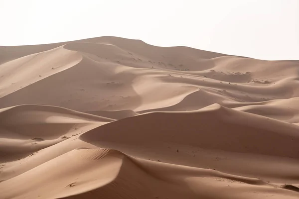 Pittoreska Sanddyner Erg Chebbi Öknen Del Afrika Sahara Marocko Royaltyfria Stockbilder