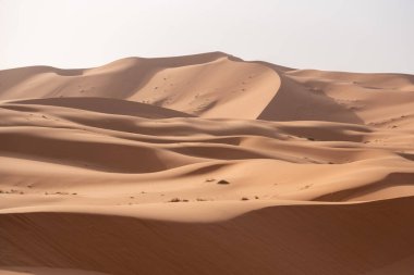 Afrika Sahrası 'nın bir parçası olan Erg Chebbi Çölü' ndeki resim kumulları.