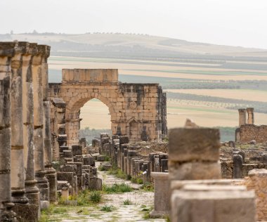 Volubilis 'in İkonik Zafer Kemeri, Fas, Kuzey Afrika' da eski bir Roma kenti.