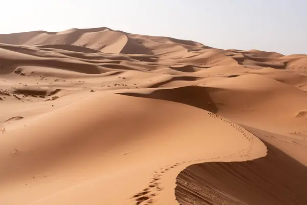 アフリカのサハラの一部 モロッコのヒューマン チビ砂漠の写真の砂丘 — ストック写真