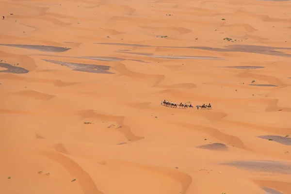 Een Kamelenkaravaan Door Woestijn Van Erg Chebbi Marokko — Stockfoto