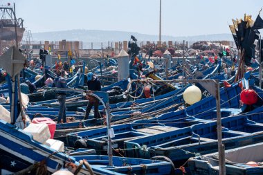 Essaouira, Fas limanındaki balıkçı tekneleri.