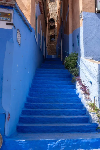 Vibrante Callejón Color Azul Centro Chefchaouen Marruecos — Foto de Stock