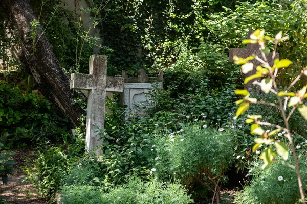 Маленькое Англиканское Кладбище Рядом Церковью Святого Эндрюса Тане Штат Морено — стоковое фото