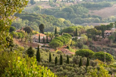 Sabahın erken saatlerinde İtalya 'nın Montaione kenti yakınlarında tepeleri ve selvileri olan tipik Toskana manzarası.