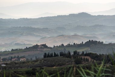 Sabahın erken saatlerinde İtalya 'nın Montaione kenti yakınlarında tepeleri ve selvileri olan tipik Toskana manzarası.
