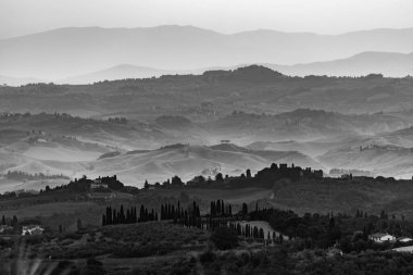 Sabahın erken saatlerinde İtalya 'nın Montaione kenti yakınlarında tepeleri ve selvileri olan tipik Toskana manzarası.