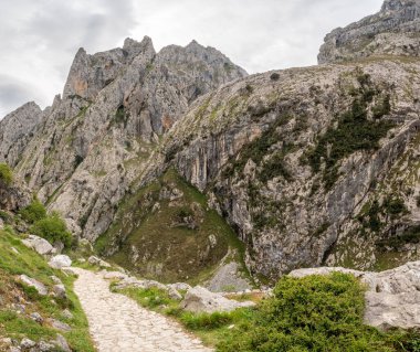 Kuzey İspanya, Asturias 'taki Picos de Europa dağlarında Cares' in muhteşem manzarası.