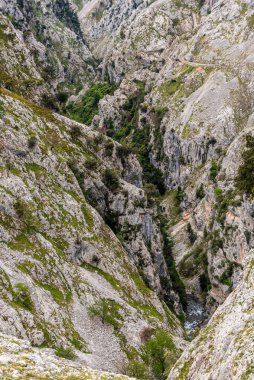 Kuzey İspanya, Asturias 'taki Picos de Europa dağlarında Cares' in muhteşem manzarası.