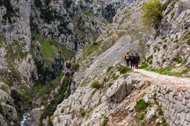 Kuzey İspanya 'nın Asturias kentindeki Picos de Europa dağlarında yürüyüş yapan bir grup yürüyüşçü